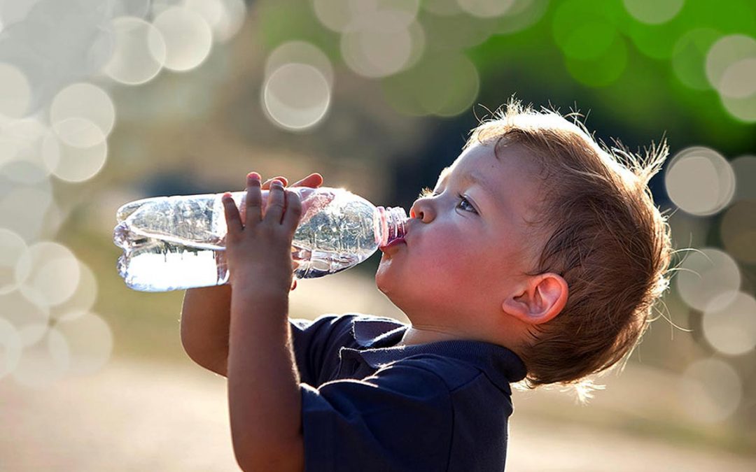Devocionais iKids #20: Como um Besouro Consegue Água no Deserto?
