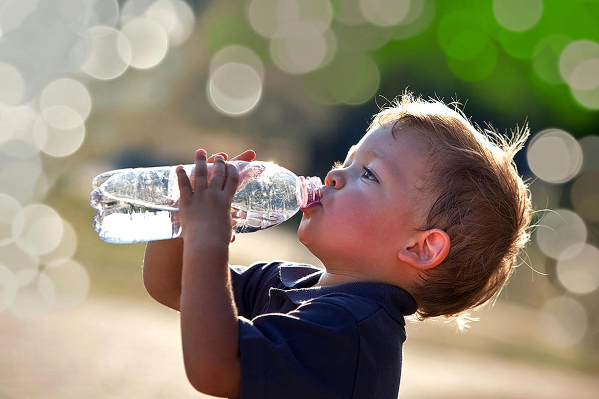 Devocionais iKids #20: Como um Besouro Consegue Água no Deserto?